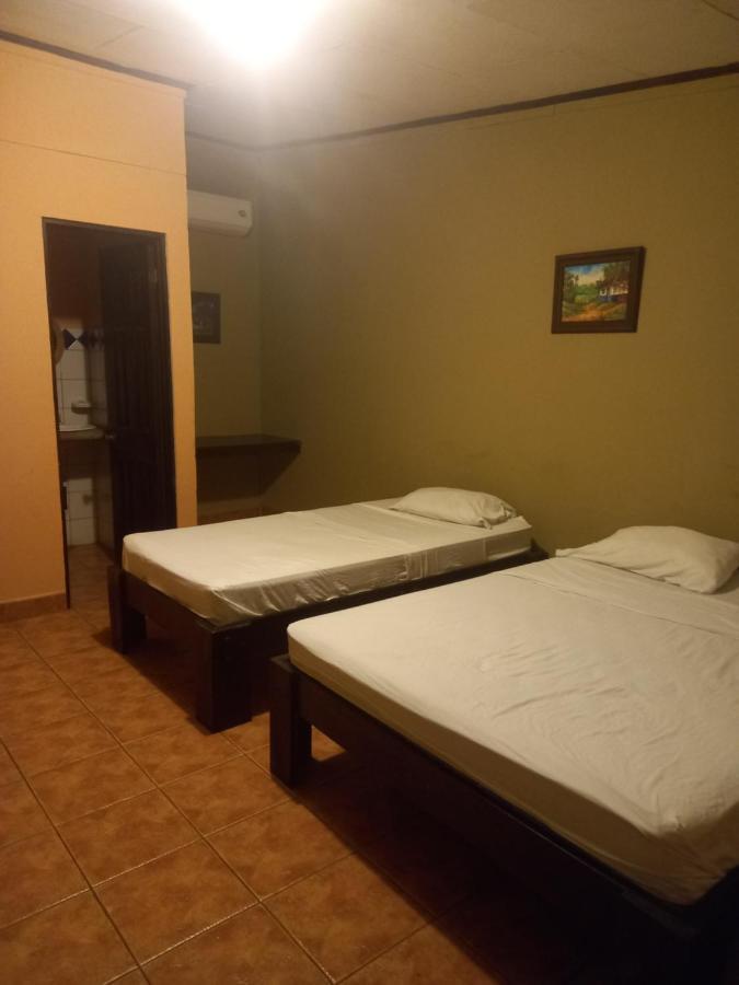 House Of The Macaws Bed & Breakfast ตาร์กอเลส ภายนอก รูปภาพ