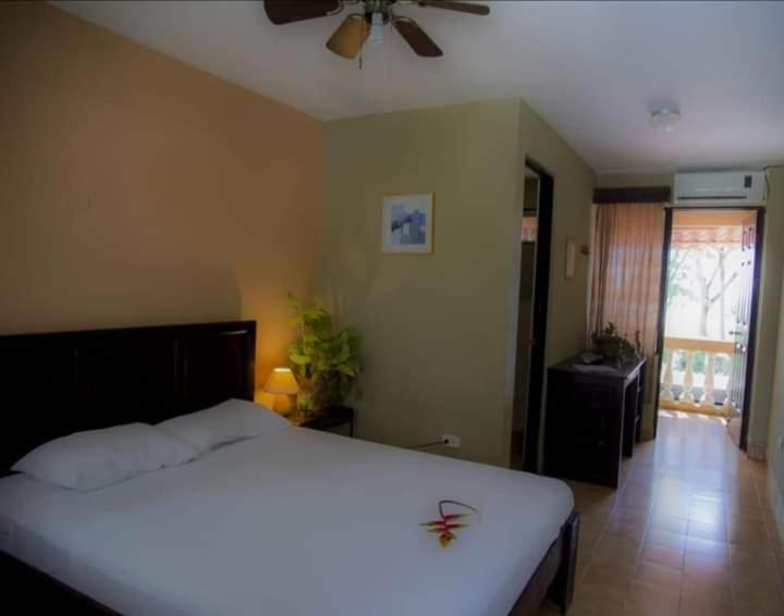 House Of The Macaws Bed & Breakfast ตาร์กอเลส ภายนอก รูปภาพ