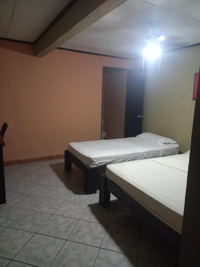 House Of The Macaws Bed & Breakfast ตาร์กอเลส ภายนอก รูปภาพ