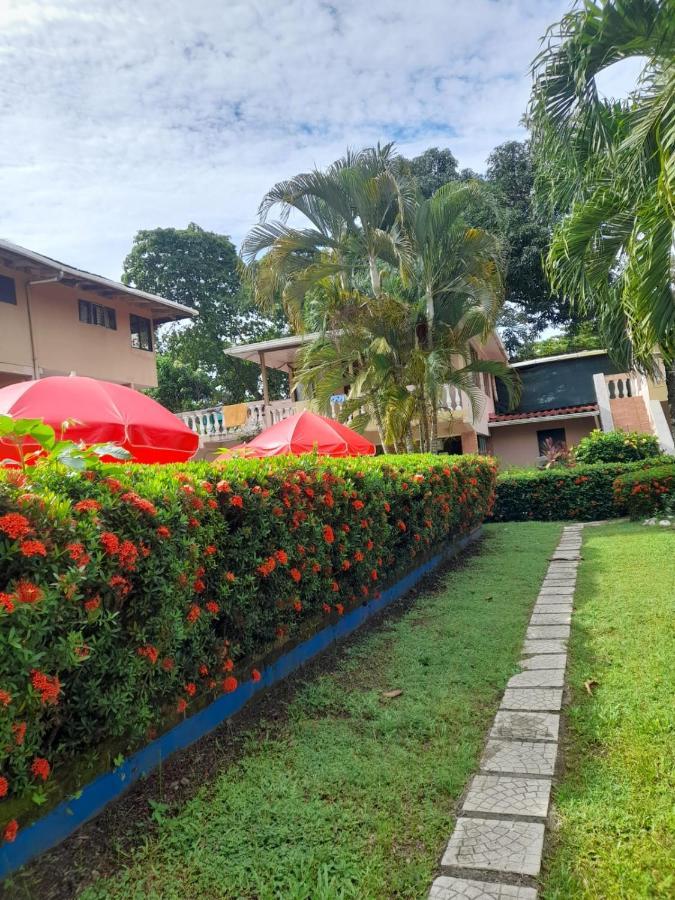 House Of The Macaws Bed & Breakfast ตาร์กอเลส ภายนอก รูปภาพ