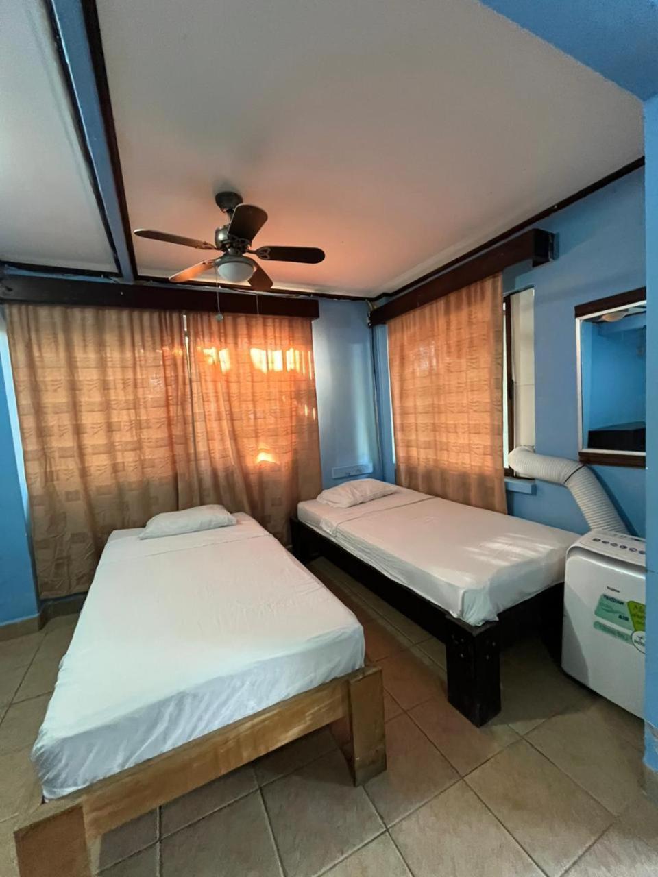 House Of The Macaws Bed & Breakfast ตาร์กอเลส ภายนอก รูปภาพ