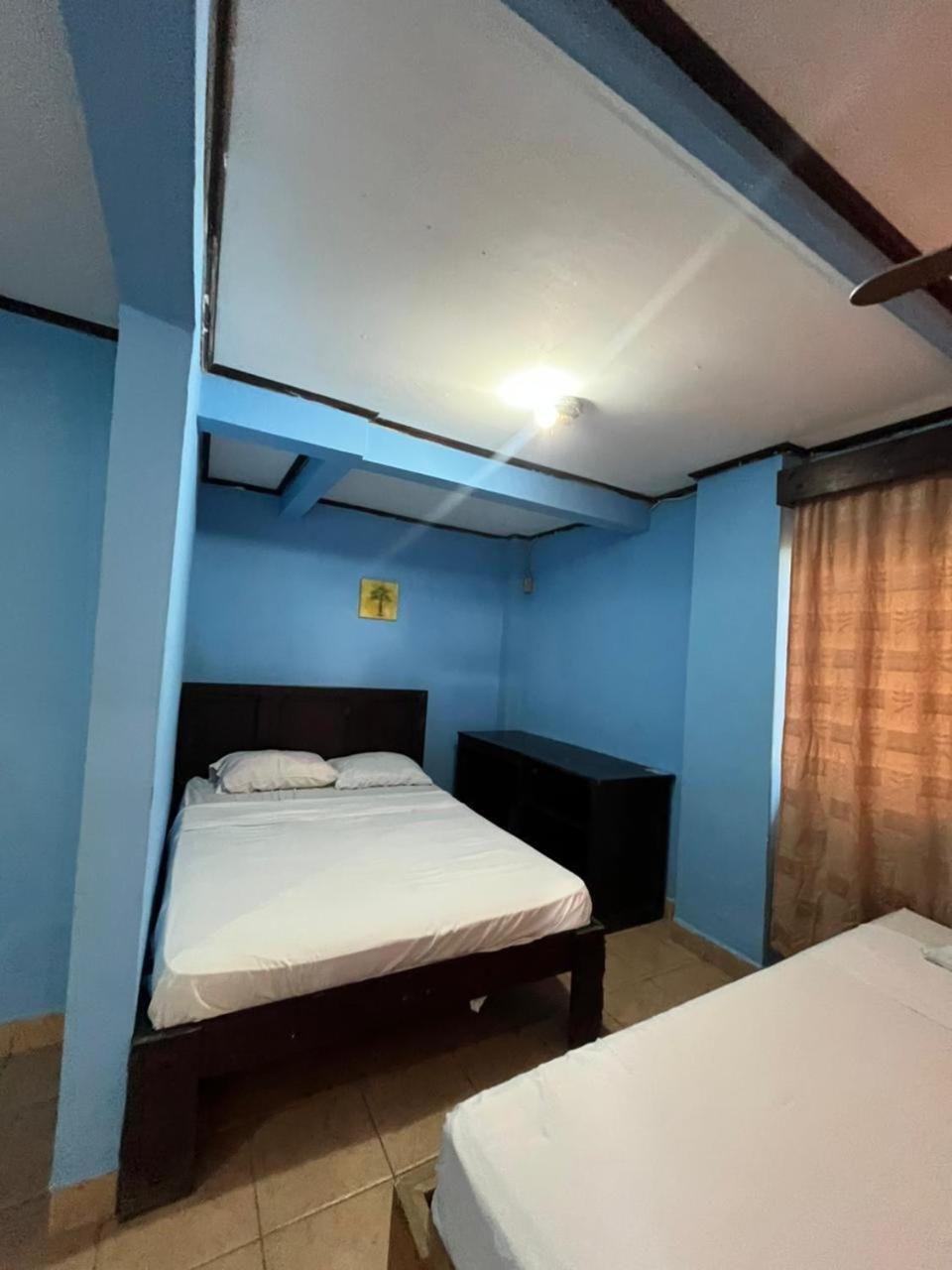 House Of The Macaws Bed & Breakfast ตาร์กอเลส ภายนอก รูปภาพ