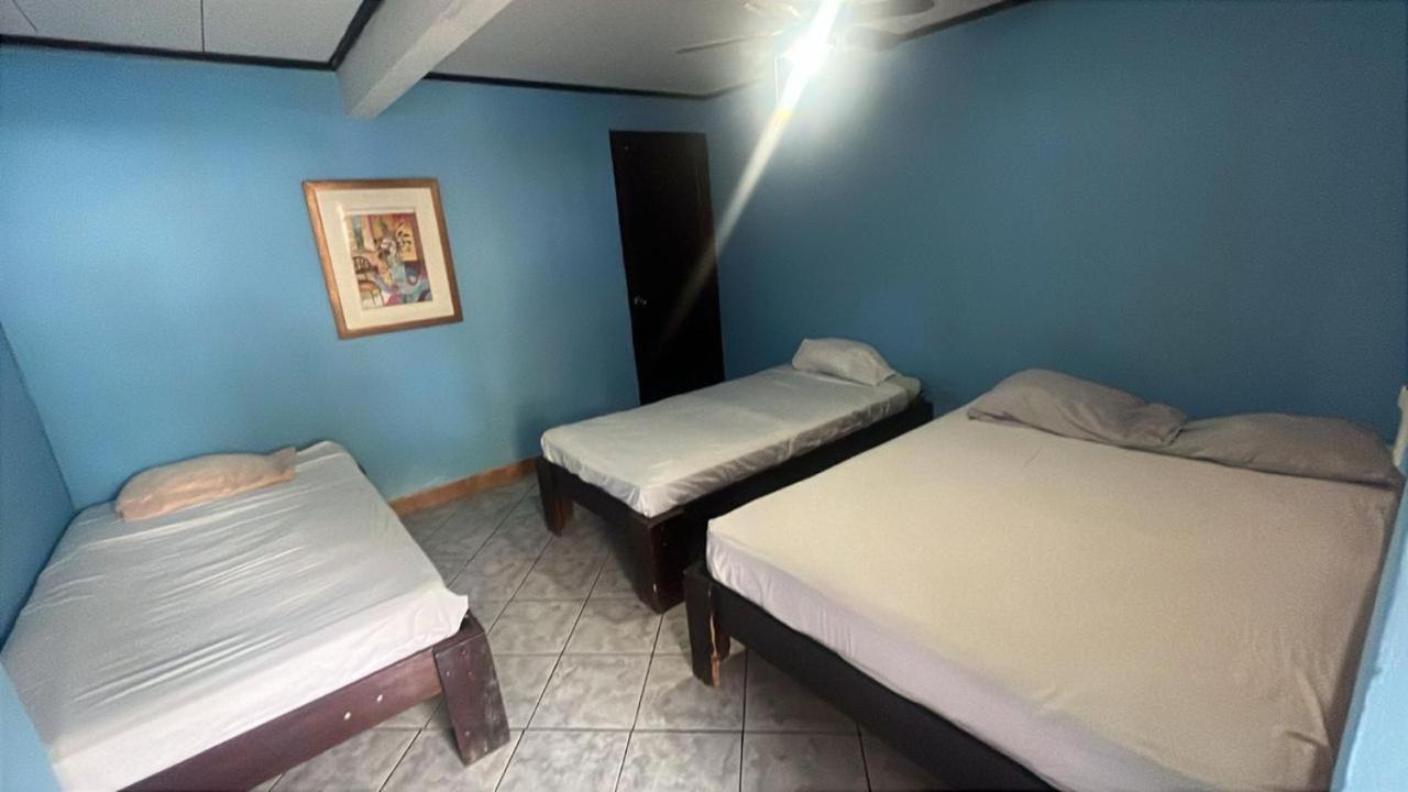 House Of The Macaws Bed & Breakfast ตาร์กอเลส ภายนอก รูปภาพ