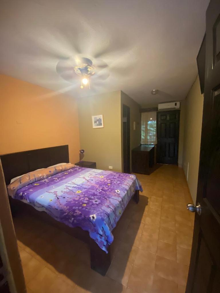 House Of The Macaws Bed & Breakfast ตาร์กอเลส ภายนอก รูปภาพ